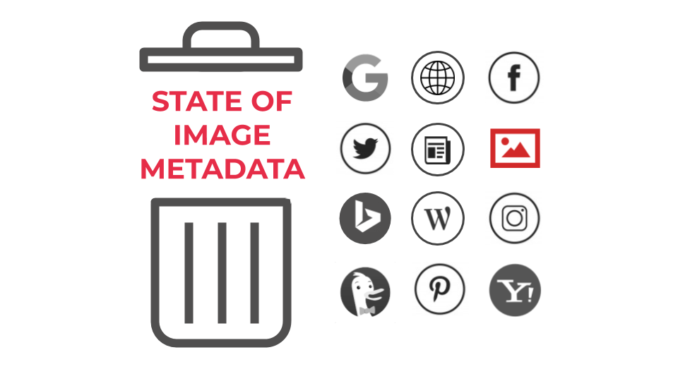 Copie de banner metadata study EN 2019